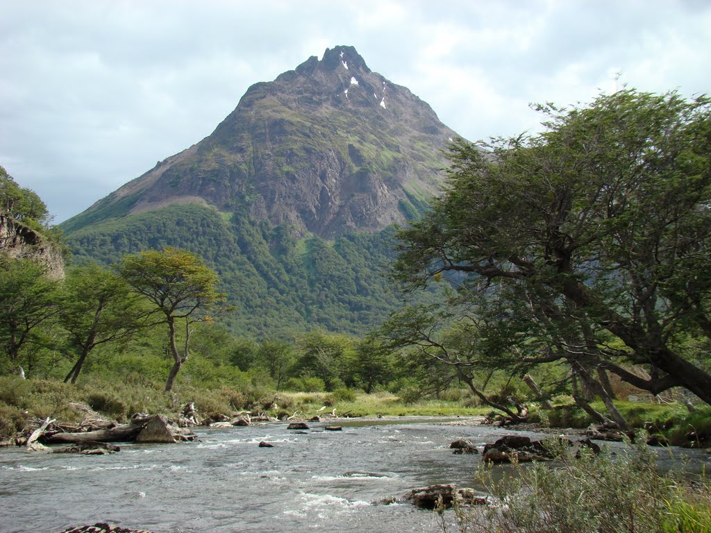 Río Olivia